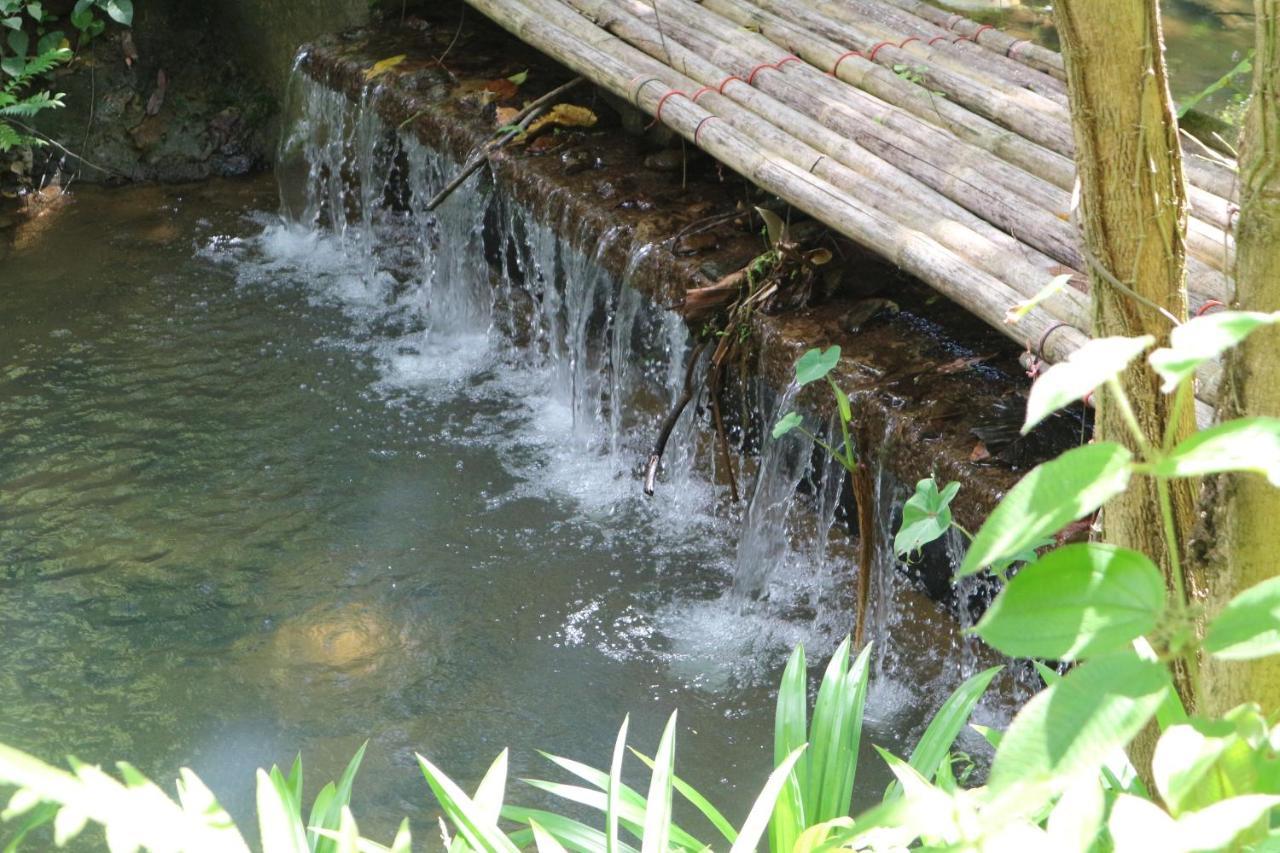 Baan Rai Me Rak Organic Farmstay Pa Khlok Exteriör bild