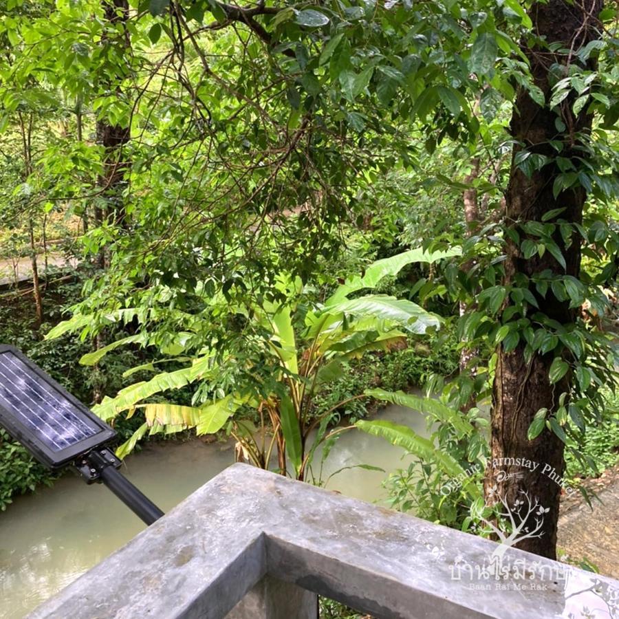 Baan Rai Me Rak Organic Farmstay Pa Khlok Exteriör bild