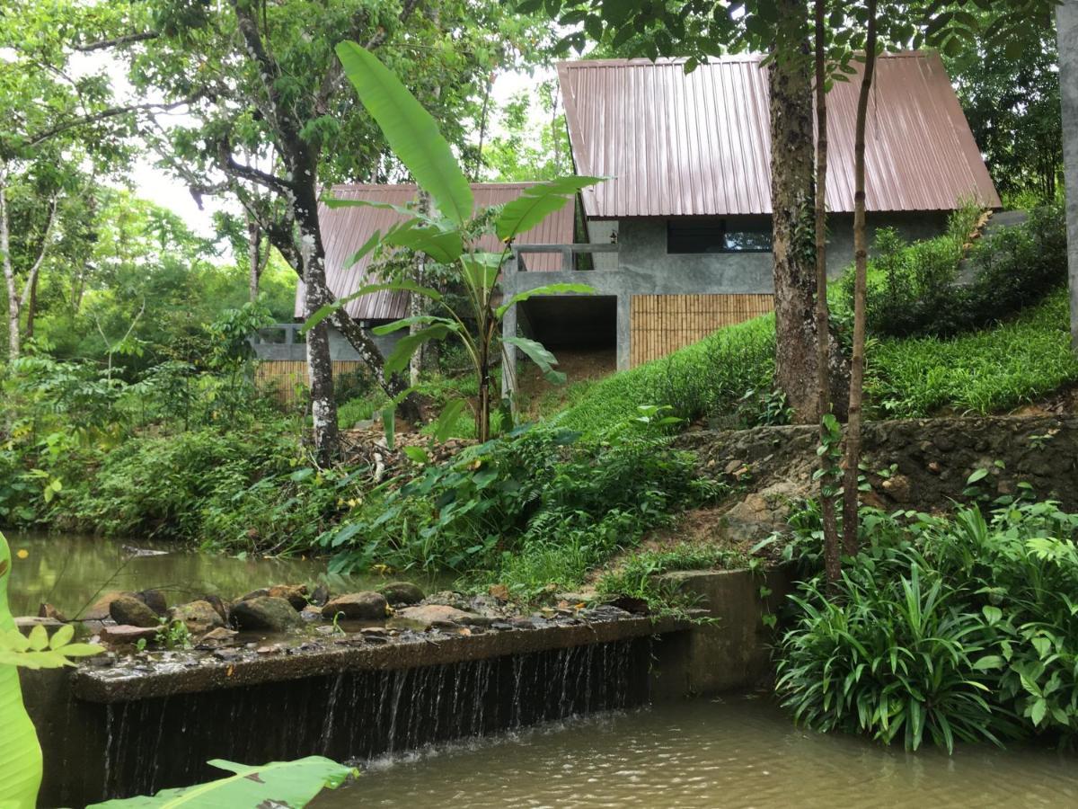Baan Rai Me Rak Organic Farmstay Pa Khlok Exteriör bild